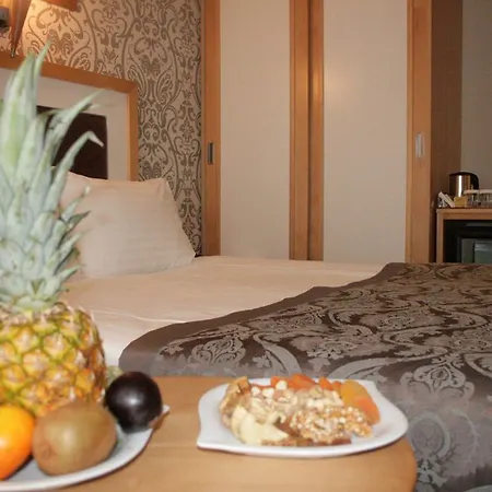 Nova Plaza Taksim Square 호텔 3*