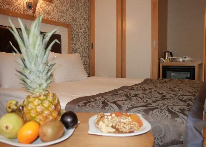 Nova Plaza Taksim Square فندق 3*